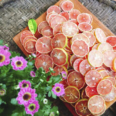 Chanh Đào Chanh Chua