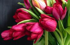 Mộc Mộc Thích Mùa Xuân