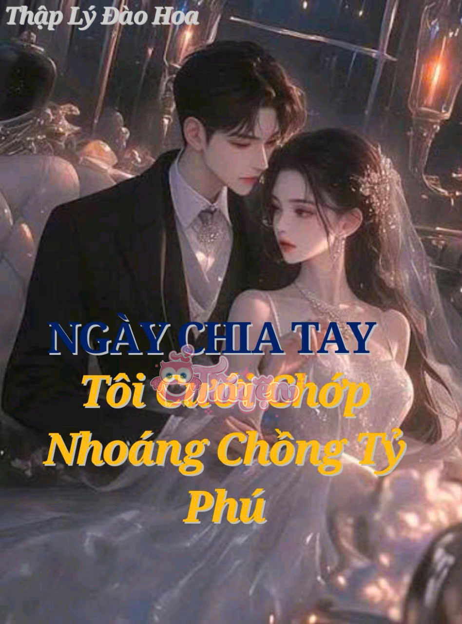 NGÀY CHIA TAY, TÔI CƯỚI CHỚP NHOÁNG CHỒNG TỶ PHÚ