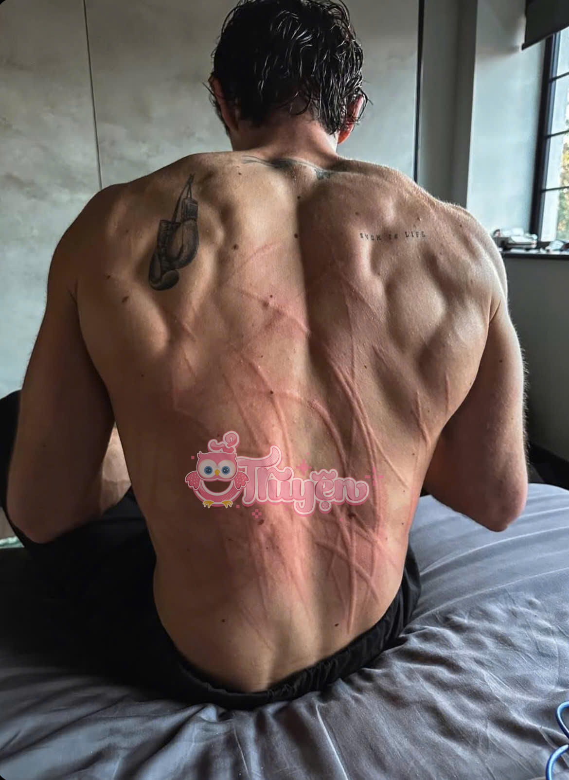 Em Trong Lòng Bàn Tay Anh -Tần Thiển