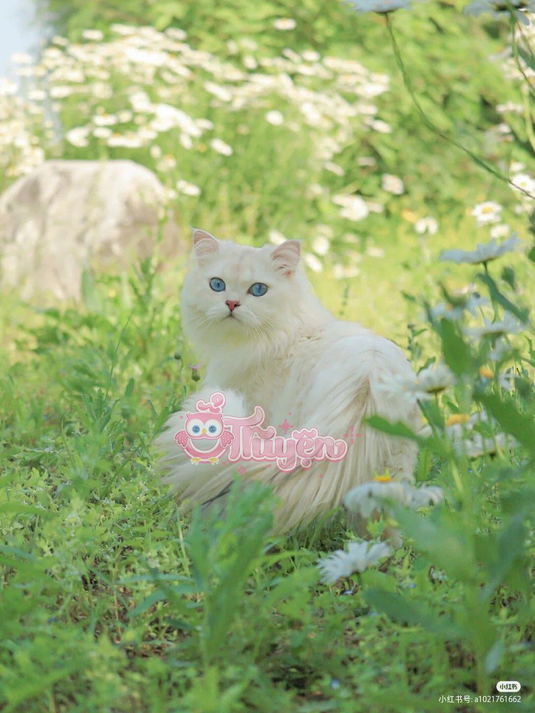 Trọng Sinh: Nỗ Lực Cứu Rỗi Kẻ Điên