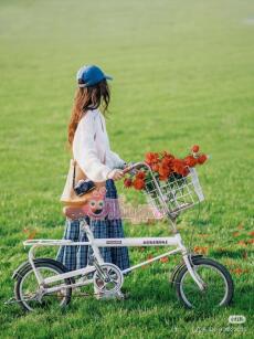 Bố chồng lái xe lậu chặt chém khách, tôi trực tiếp tặng ông ta 500 tỷ