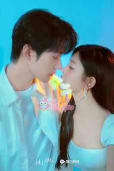 Giáo Phái Mèo Lập Công Lớn